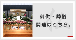 䋟EV֘A͂